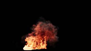 Famous fire retime Wealth