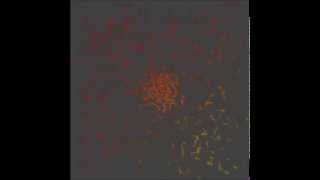 Amon Tobin - Keep Your Distance