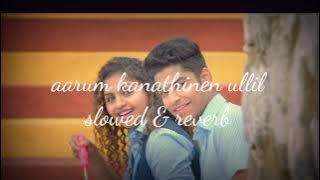 aarum kanathinen ullil - slowed & reverb  vineeth sreenivasan