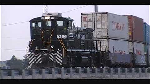 MP 15 works a set out pigs! Irondale AL 9-27-12.