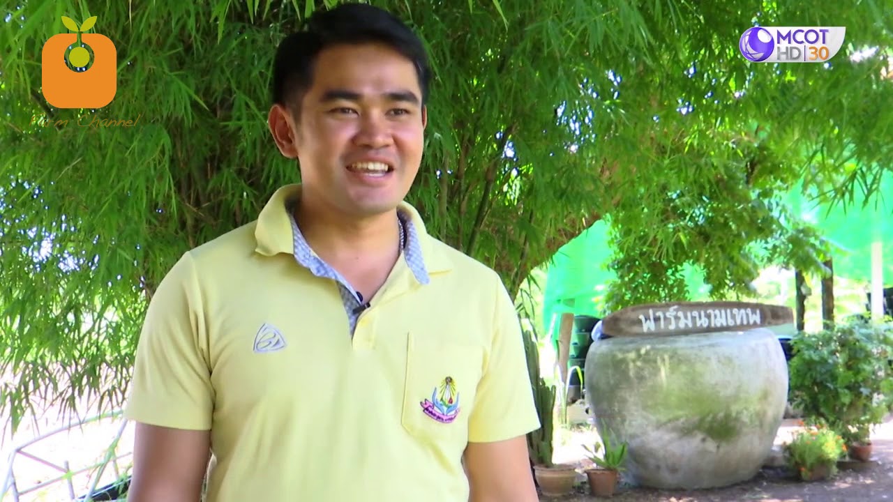 F59 สูตรปุ๋ยมูลไส้เดือนใบไผ่