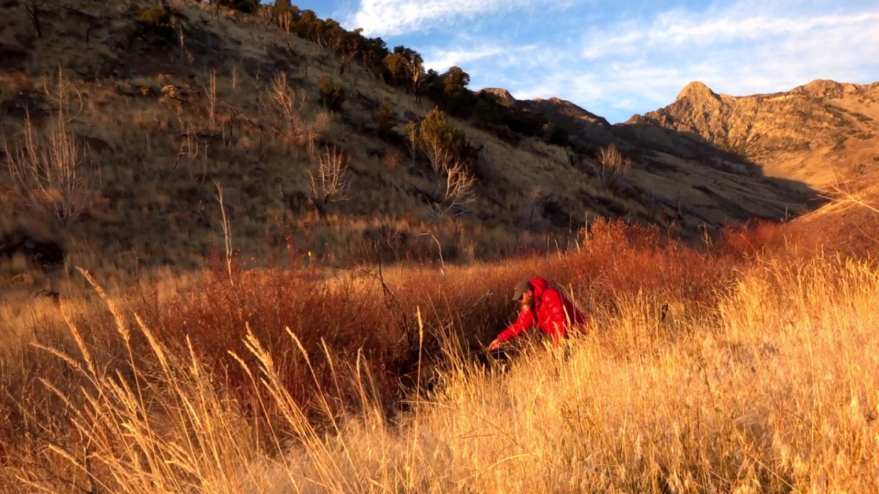 Fly-Fishing for a Ghost Trout, Great Basin, Utah