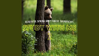 Beautiful Spring Deep Forest Soundscape, Pt. 7