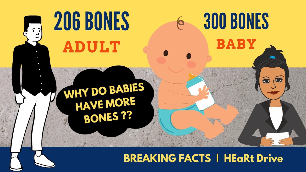 why do infants have more number of bones | Breaking facts | HEaRt Drive