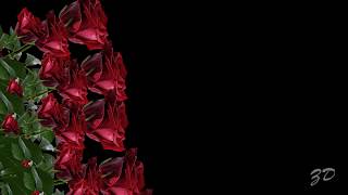 Красивый  бесплатный футаж для видеомонтажа - Падающие букеты роз