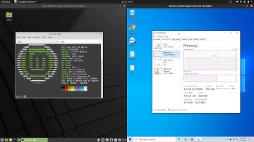 Linux Mint 20 XFCE vs Win 10: Ram Usage