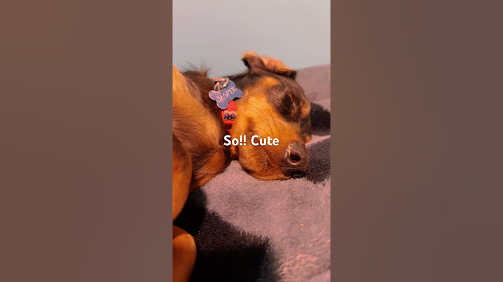Cuteness alert
