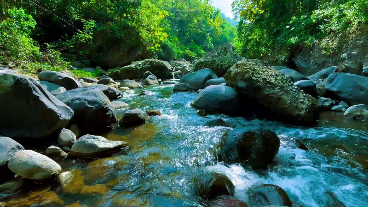 Deep Relaxation River Sounds – 10 Hours for Anxiety & Stress Recovery Stress & Tension Release