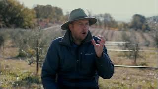 Titanium Tours' Truffle Hunting Experience in Provence, France