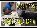 SUSTO EN LA TAPIA Molinicos San Jose 2018 Suelta de Novillos HD