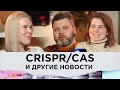 Откуда взялась жизнь? Первое яйцо