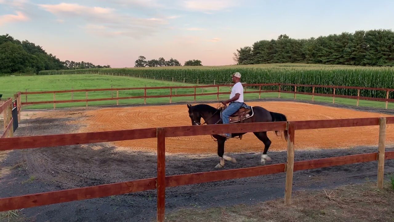 Ways Farm