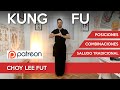 APRENDE KUNG FU | CHOY LEE FUT | PRINCIPIANTE