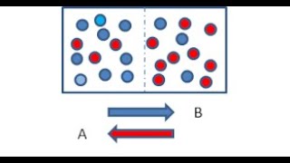 Diffusion through a membrane- Iodine starch experiment