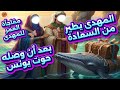 الحوت والمهدى وأخيرا حوت نبى الله يونس تصل إلى المهدى بأجمل بشرة والمهدى يطير من الفرحة والسعادة 
