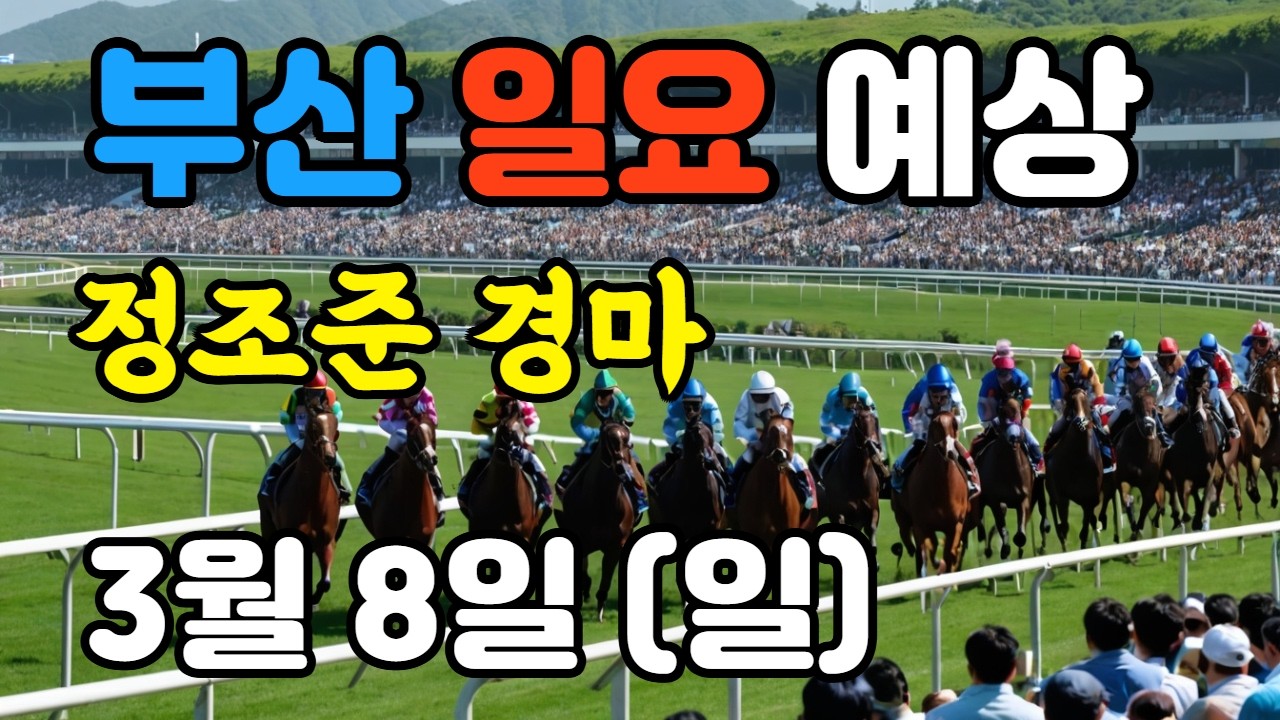 🔴 3월 8일 부산 일요 예상 !!! 🔴 제주·서울·부산 경마 고배당 가능성 분석｜정조준 AI 경마 명승부 예측🔴