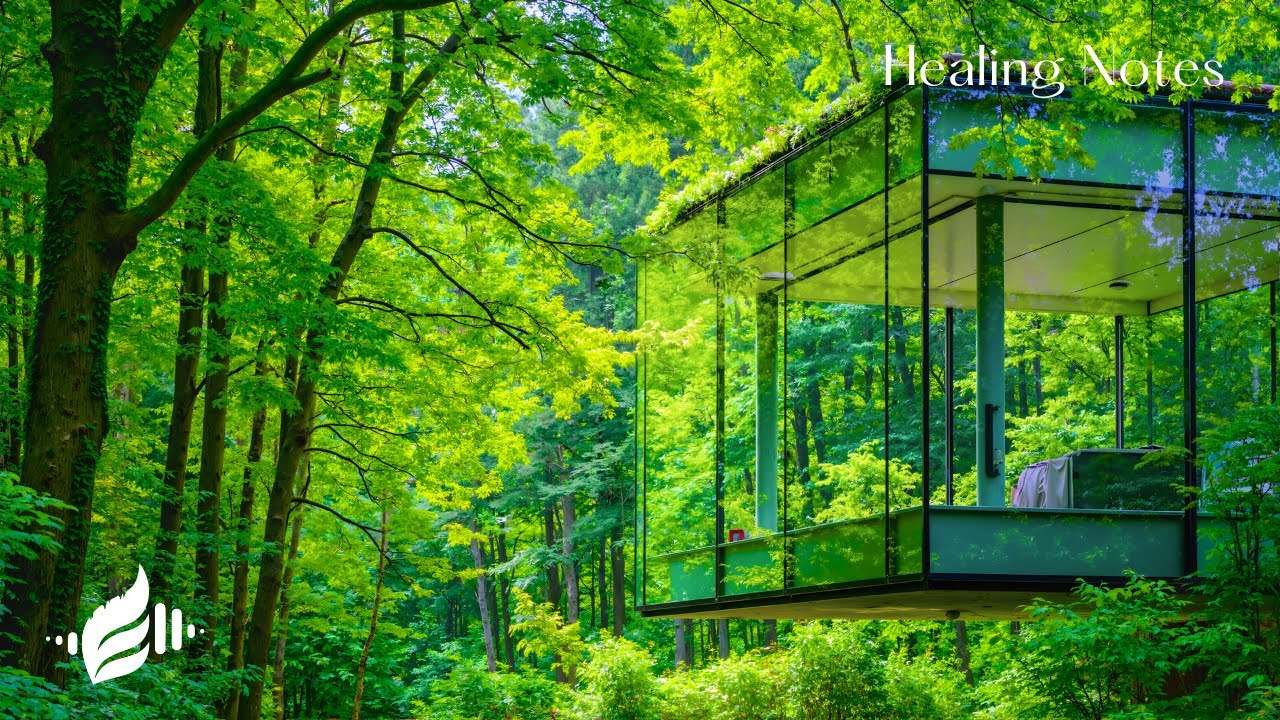 Nervous System Healing Music 🏡🌿 – Nature Calm, Gentle Piano, Emotional Restoration | Healing Notes