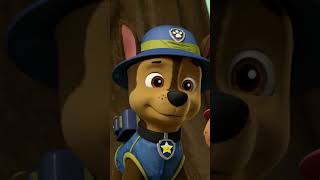 Silly Monkeys stole the repair tools! - #PAWPatrol #shorts UK