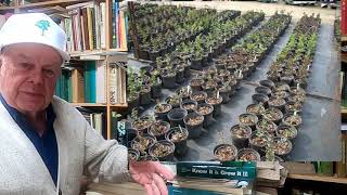 Ask the plant