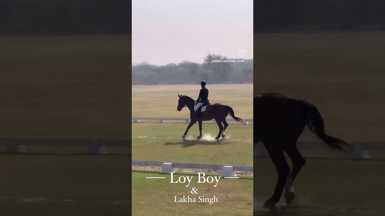 Team Aravali at Delhi Horse Show