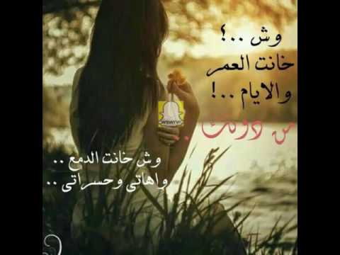 جديد .. وليد الشامي ..2017