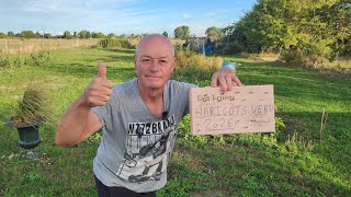 29 Août Au Jardin Avec Philippe. Les Haricots Verts.