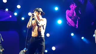 Red Hot Chili Peppers Live Sydney - Go Robot 20/02/2019