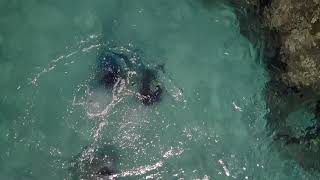 Try Scuba Diving on Rhodes Greece Try Scuba Diving on Rhodes Greece