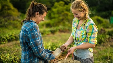 Brazil Tree Planting Project