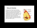 BRIEF SUMMARY OF POWER SHARING, CIVICS, CLASS 10