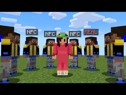 Lifesteal SMP VS Secret Hunter