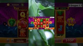 Bet 1 M jadi apa ya | Jp 5 Dragons #73 Bet 1 M jadi apa ya | Jp 5 Dragons #73