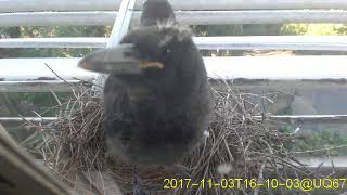 20171103T1600~1630