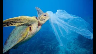 Make Our World Plastic Free !