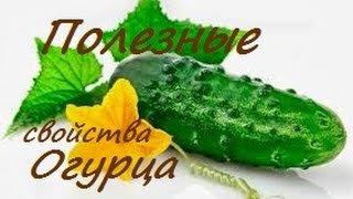 Полезные свойства Oгурца избавиться от лишнего веса Полезные свойства Oгурца избавиться от лишнего веса