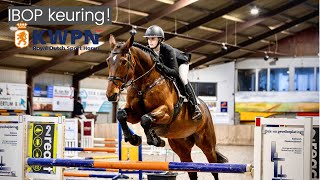 Lunetta B wordt ELITE merrie bij de KWPN IBOP keuring! 🏵️ || Kim Dior K