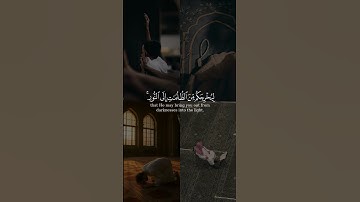 تلاوة هادئة تريح الاعصاب للنوم🌱يأيها الذين امنوا اذكروا الله ذكرا كثيرا#سورة_الأحزاب #حالات_واتس