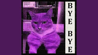 Bye Bye Mewing Phonk ((Speed Up))