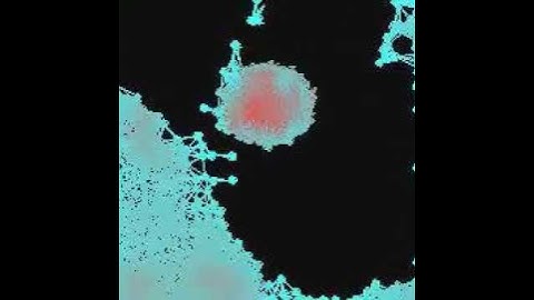 SPH fluid simulation 2