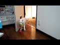 #51 持って来ちゃうユキ - this toy is still living! -