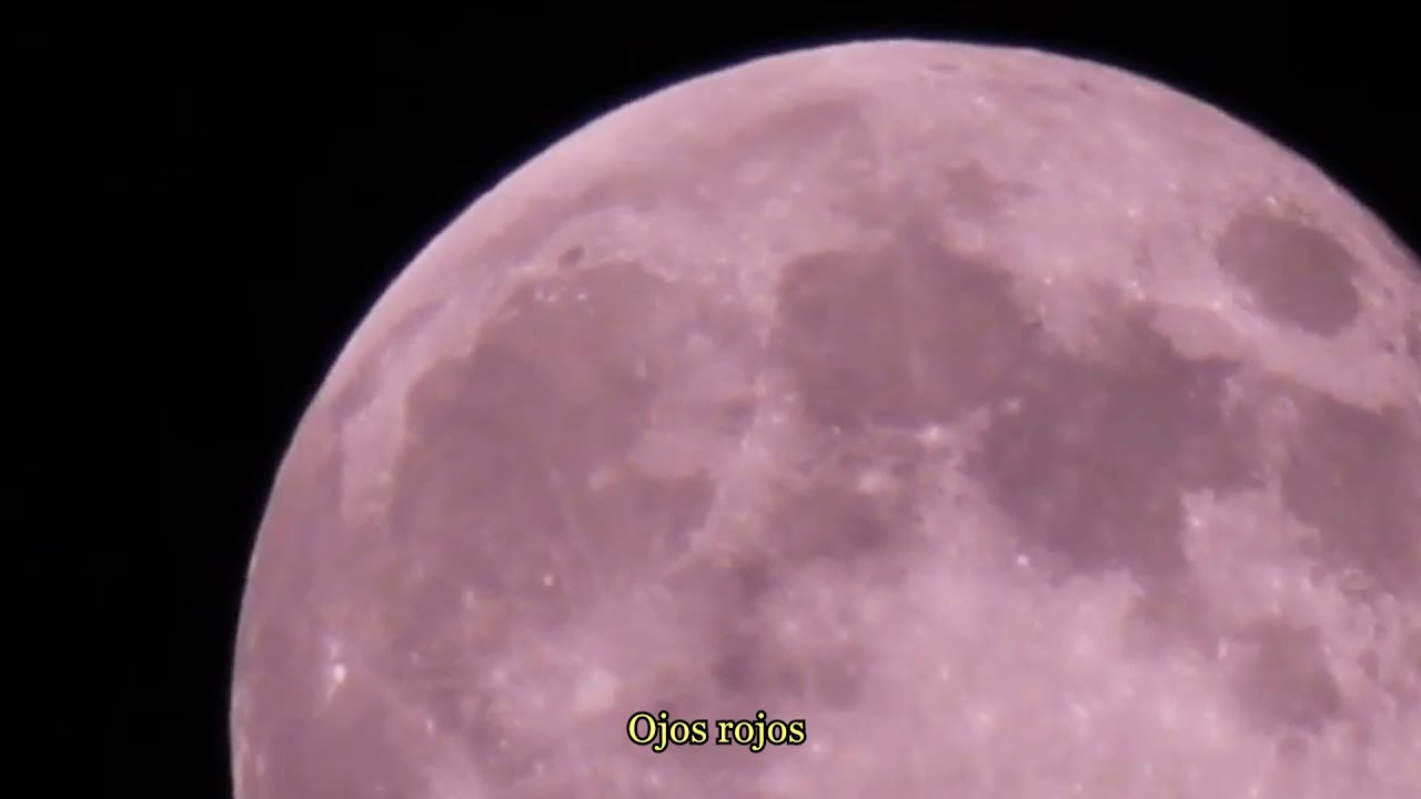 Single Archives Domino Publishing