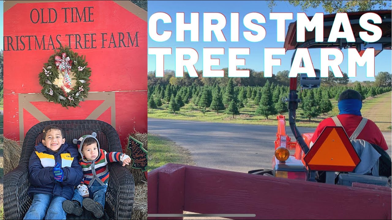 CHRISTMAS TREE FARM FUN WITH THE KIDS!!! - YouTube