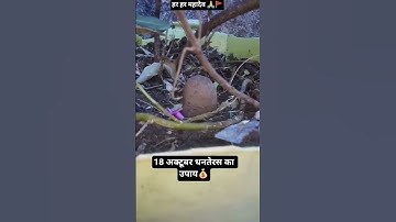 18 अक्टूबर धनतेरस का उपाय💰 #pandit_pradeep_ji_mishra #dhanteras #pradeepmishra #upay #shorts