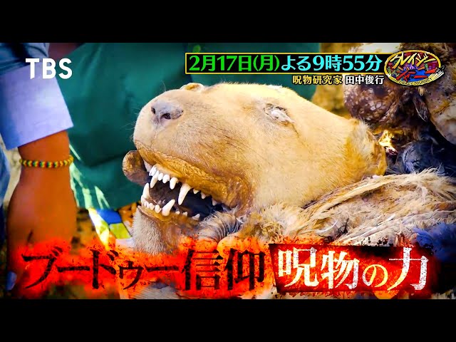 アフリカ　呪物　アジウス精霊　幸運　限定1個　通常8万円程 呪物研究家・田中俊行がアフリカへ！知られざる呪術の世界