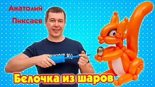 Белочка из шаров для моделирования