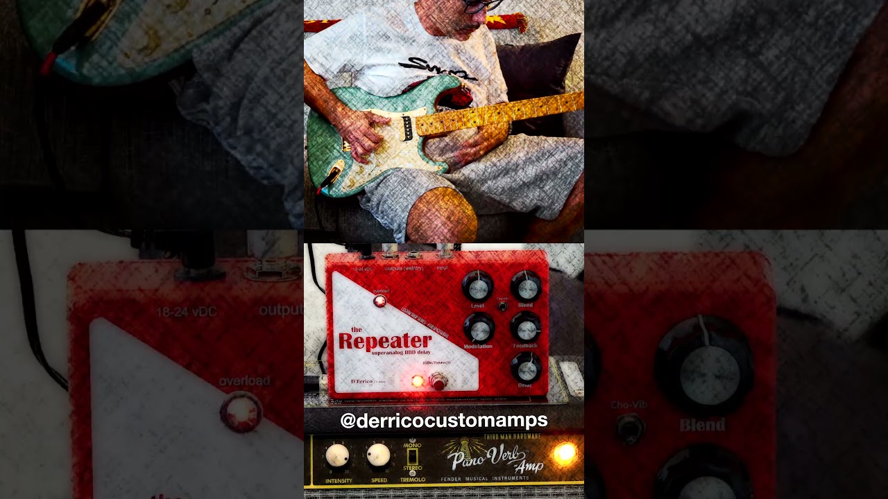 D'Errico Custom The Repeater Deluxe Memory Man 5 of 5 - YouTube