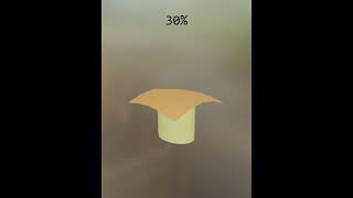 0% vs 30% vs 60% vs 100% Plane Deformation Test 🔥