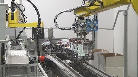 Robotic Horizontal/Vertical Top Loader Packs Retail-Ready Snack Pouches – Pearson Packaging Systems