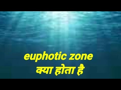 Video: Wo ist die epipelagische Zone?