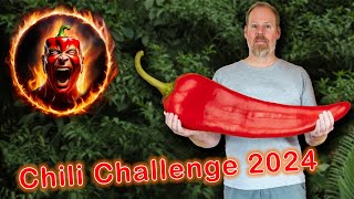 Chili Challenge 2024 - Größte Pflanze Deutschlands